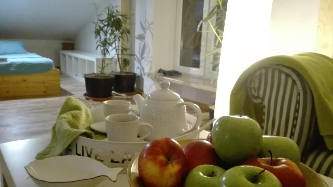 Swieze Poddasze U Przybyszow Andruszkowice Extérieur photo